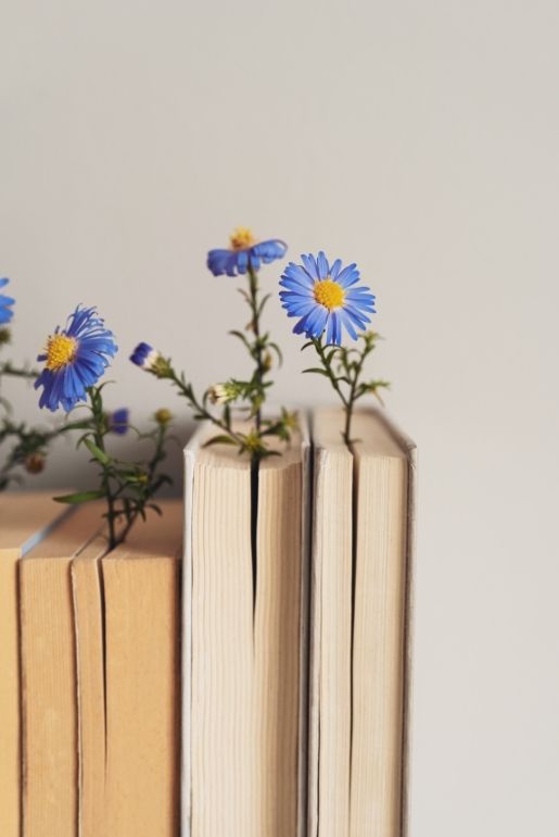 Books with flowers coming out of them. Meant to symbolize confidence in learning. Math confidence.